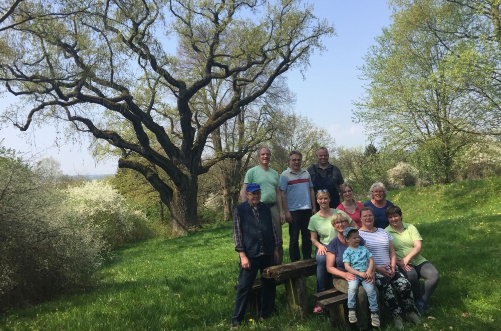 Sänger nach dem Frühjahrsputz an der Dicken Eiche in Nüst